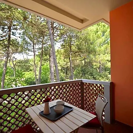 Apartment Relaxing Getaway Close To The *
